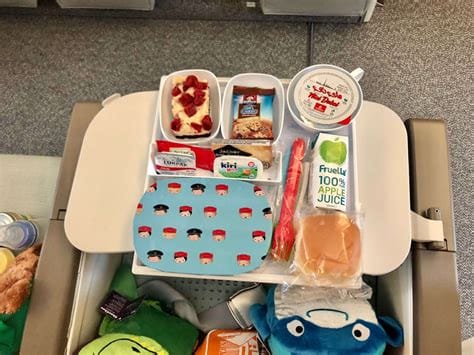 Can I bring my own food on a plane?