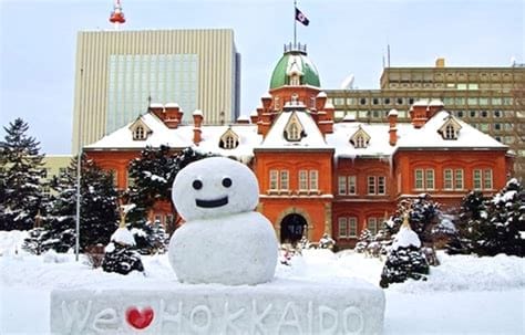 Sapporo Travel Guide: Snowy Adventures and Culinary Delights