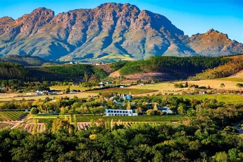 Stellenbosch Wine Country: Tastings and Scenic Beauty