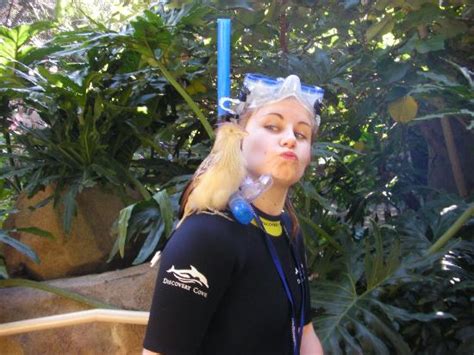Do you have to wear a bathing suit at Discovery Cove?