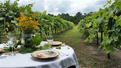 Does Florida have vineyards?