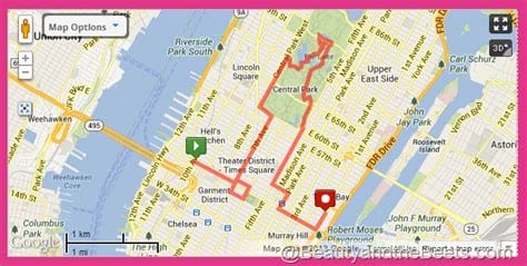How far apart are Central Park and Times Square?