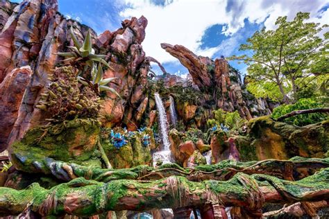 Is Animal Kingdom done forever?