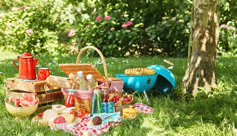 What are the best places for picnic?