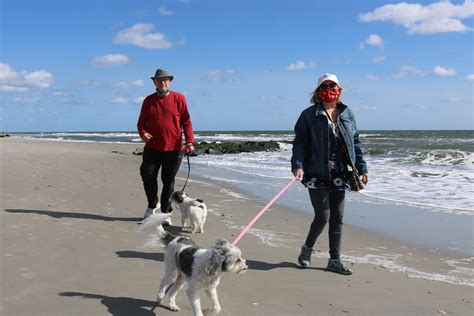 Are dogs allowed in Ocean Beach?