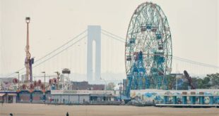 Are dogs allowed on the boardwalk at Coney Island?