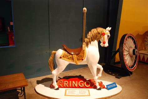 Can I bring my dog to Ringling Museum?