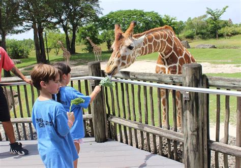 Can I take my dog to Zoo Miami?