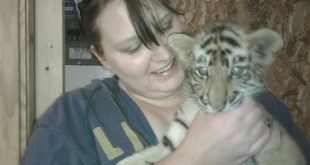Can you hold a tiger cub?