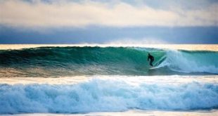 Can you surf in Venice beach Florida?