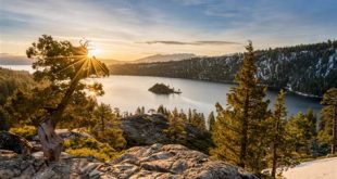 Can you take dogs to Emerald Bay?
