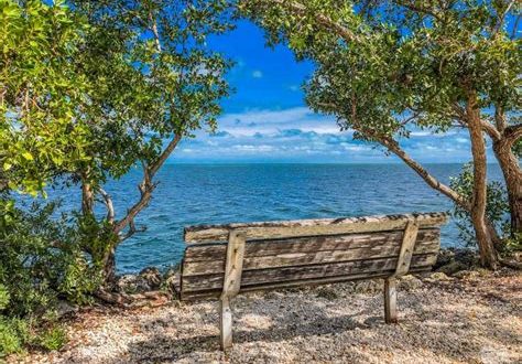 Can you walk in Biscayne National Park?