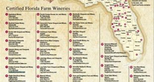 Does Florida have a wine region?