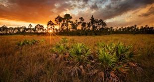 Does Florida have nature?