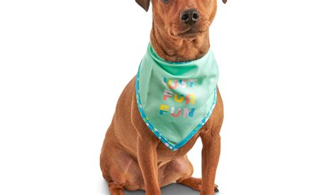 Does Petco Park allow dogs?