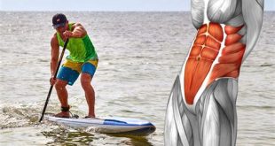 Does stand up paddle boarding build muscle?