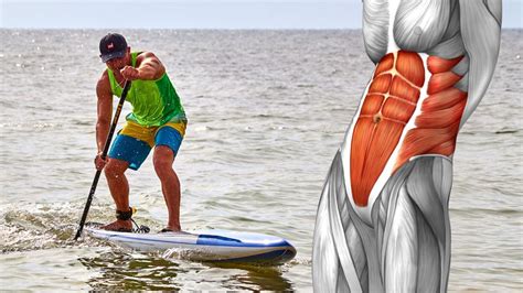 Does stand up paddle boarding build muscle?