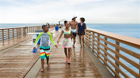 How can I have fun in Florida?