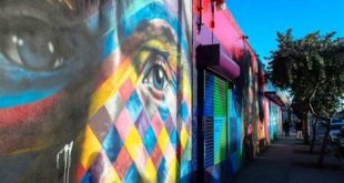 How do I spend my day at Wynwood?