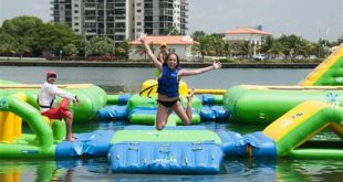 How do you roam around in Miami?