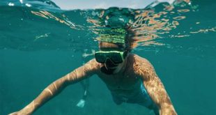 How do you snorkel in Biscayne National Park?