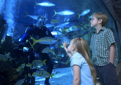 How long do people usually spend at the aquarium?