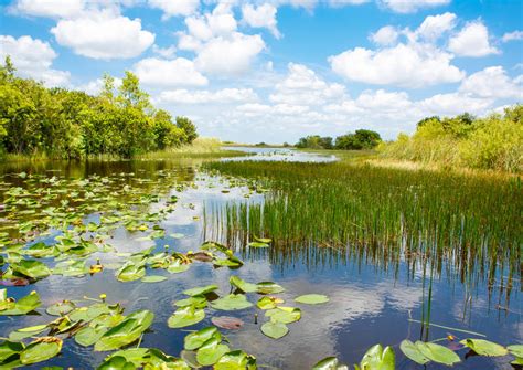 How long do you spend in Everglades National Park?