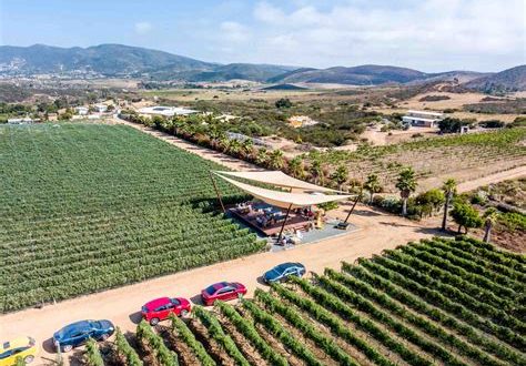 How many days should I spend in Valle de Guadalupe?