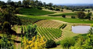 How much do you tip a winery tour?