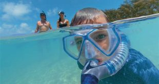 How much do you tip on a snorkel trip?