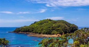 How much does Goat Island cost?