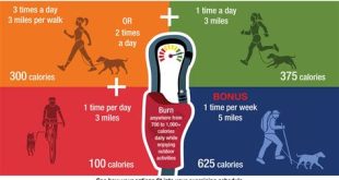 How much exercise does a dog need?