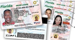 How much is an exotic license in Florida?