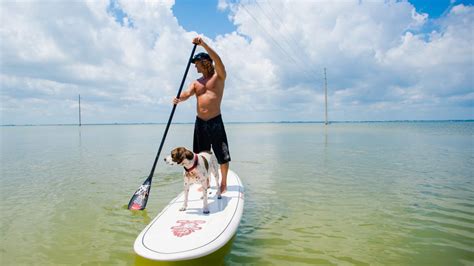 How tiring is paddle boarding?