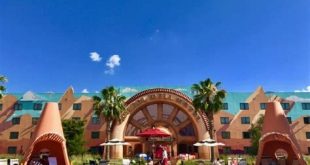 Is Disney Springs dog friendly?