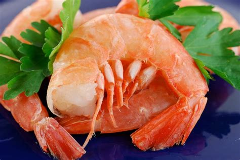 Is Florida known for shrimp?