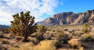 Is It Cheaper To Live In Az Or Nv?