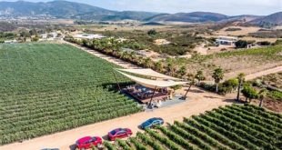 Is it safe to go to Valle de Guadalupe right now?