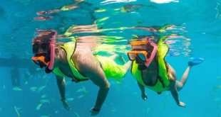 Is it worth snorkeling in Key West?