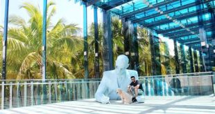 Is Miami a pet friendly city?