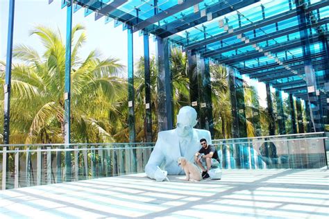 Is Miami a pet friendly city?
