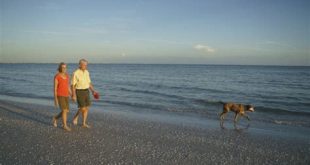 Is Sanibel beach dog friendly?