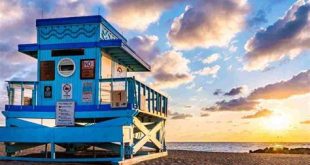 Is the epic Miami dog friendly?