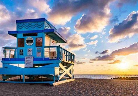 Is the epic Miami dog friendly?