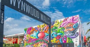 Is Wynwood a nice area?