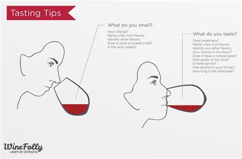What are the 4 parts to tasting wine?