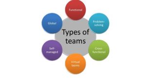 What Are The 6 Major Types Of Team Building?