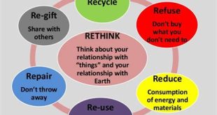 What are the 7 Rs of fashion?
