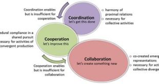 What Are The Three C's Of Team Building?