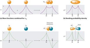 What Are The Three Phases Of Bonding?